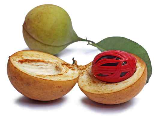 Seed inside nutmeg fruit