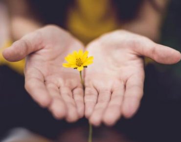open hands with yellow flower