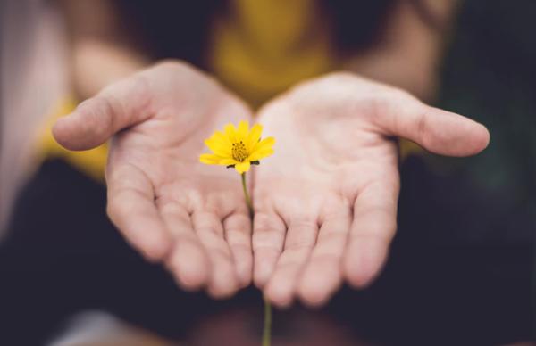 open hands with yellow flower