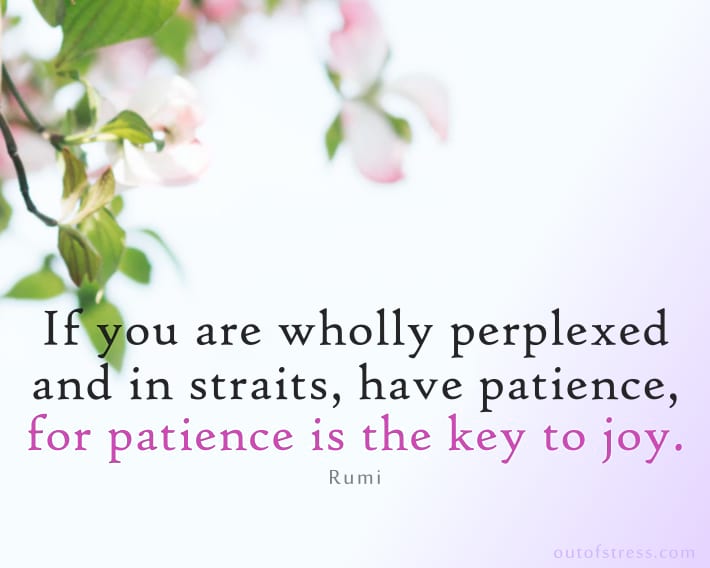 If you are wholly perplexed and in straits, have patience, for patience is the key to joy - Rumi