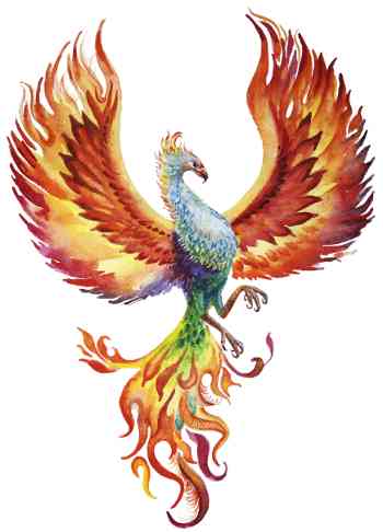 Phoenix bird symbol