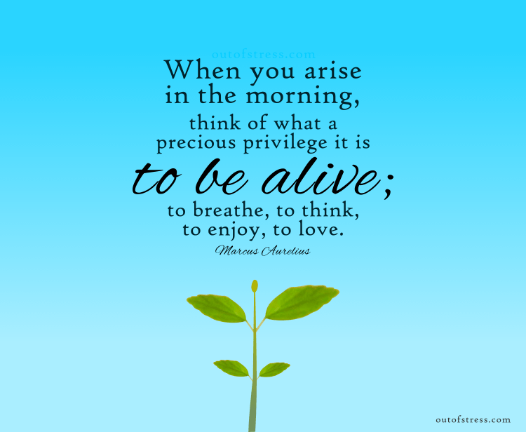 When you arise in the morning, think of what a precious privilege it is to be alive – to breathe, to think, to enjoy, to love.