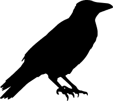 Raven