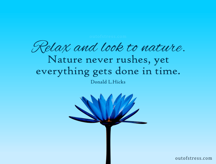 Relax and look to nature quote by Donald Hicks