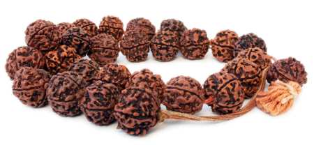 Rudraksha bead