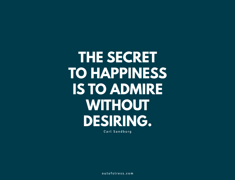 The secret to happiness is to admire without desiring.