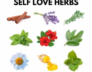 Self love herbs