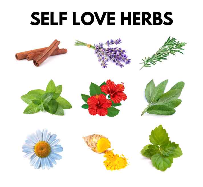 Self love herbs