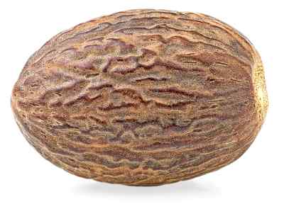 Single nutmeg seed