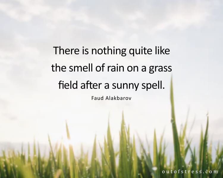 There is nothing quite like the smell of rain on a grass field after a sunny spell.