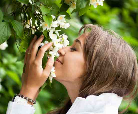 Smelling jasmine