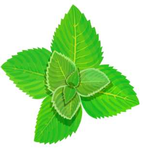 Spearmint