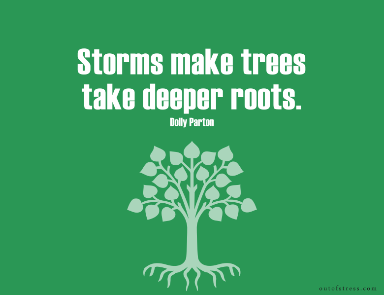 Storms make trees take deeper roots