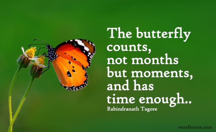 The butterfly counts not months but moments, and has time enough - Rabindranath Tagore quote