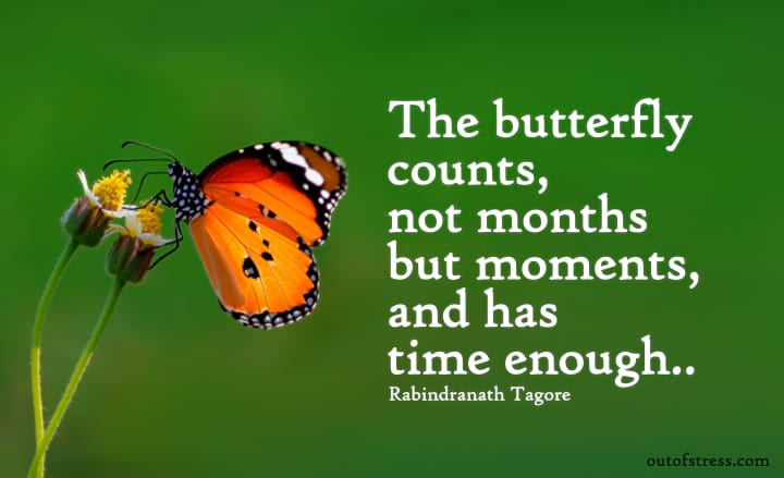27 Inspirational Nature Quotes With Important Life Lessons (Hidden Wisdom)