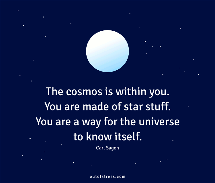 The cosmos is within you. You are made of star-stuff. You are a way for the universe to know itself.