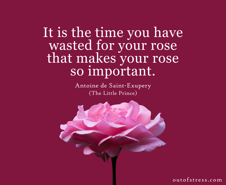 Amazing Quotes From The Little Prince On Life And Human Nature With Meaning