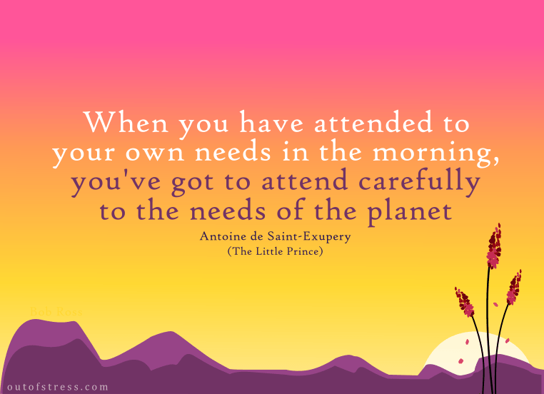 The Little Prince quote by taking care of the planet.