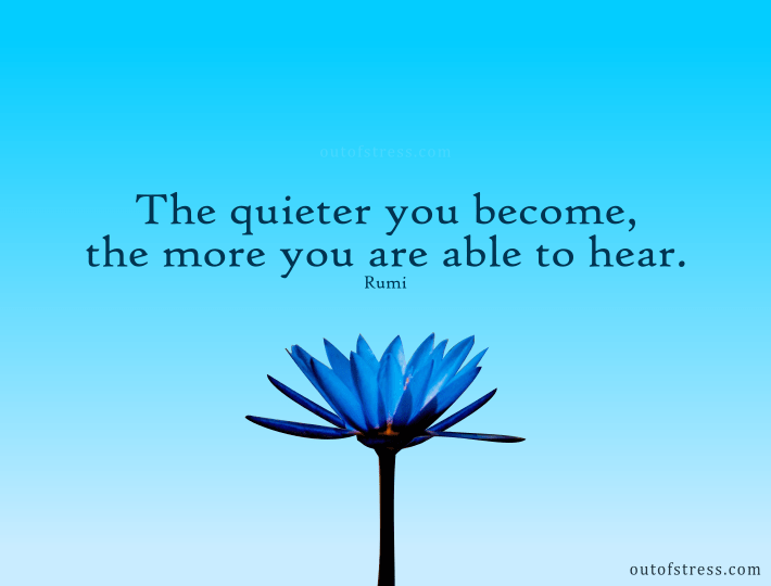 The quieter you become, the more you are able to hear - Rumi