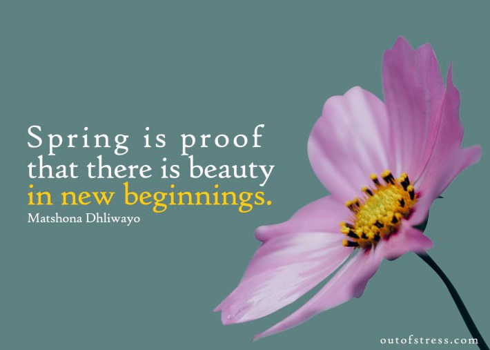 There is beauty in new beginnings - starting over quote