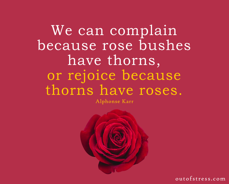 Thorns have roses - gratitude quote.