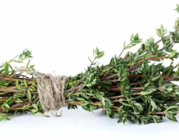 Thyme bundle