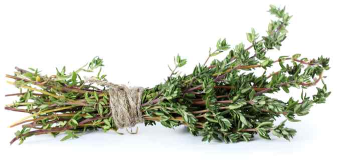 Thyme bundle