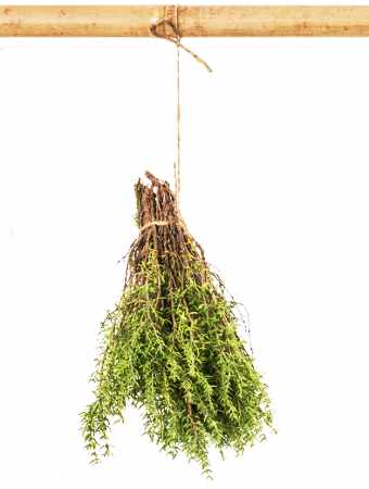 Thyme hanging from a wooden rod