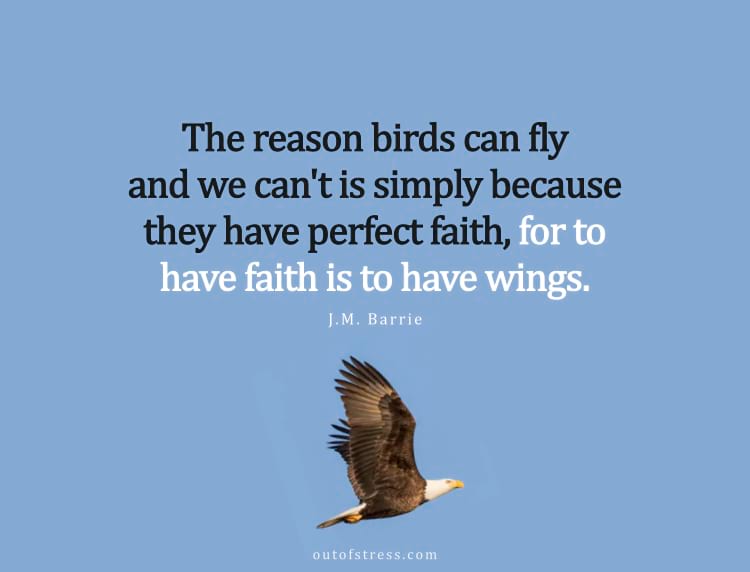 The reason birds can fly and we can't is simply because they have perfect faith, for to have faith is to have wings.