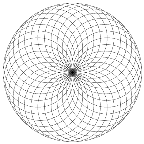 Sunflower head spiral illustration