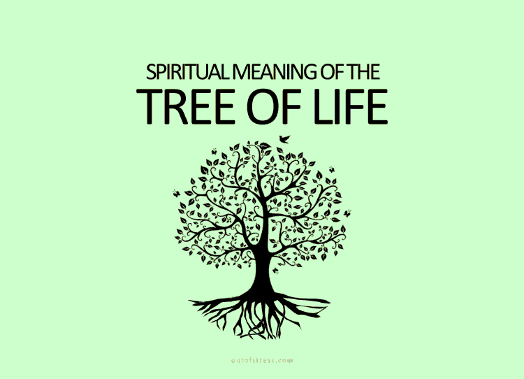 15 Hidden Meanings Behind the Tree of Life Symbol