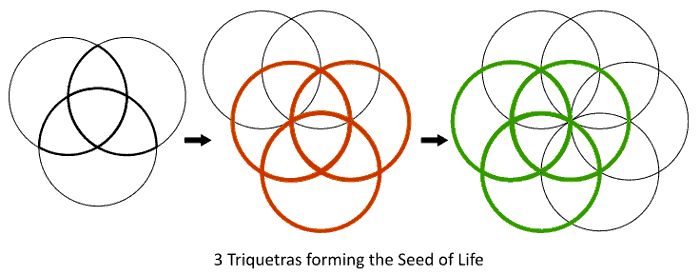 Triquetra - Seed of Life
