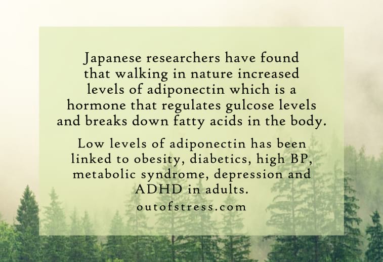 Nature increases adiponectin secretion - research