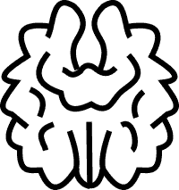 Walnuts