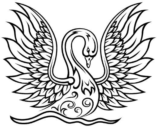 White swan
