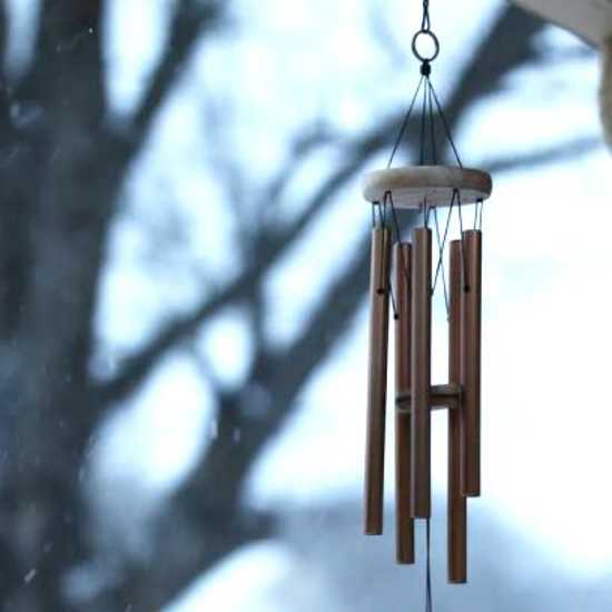 Wind chimes on a tree branch