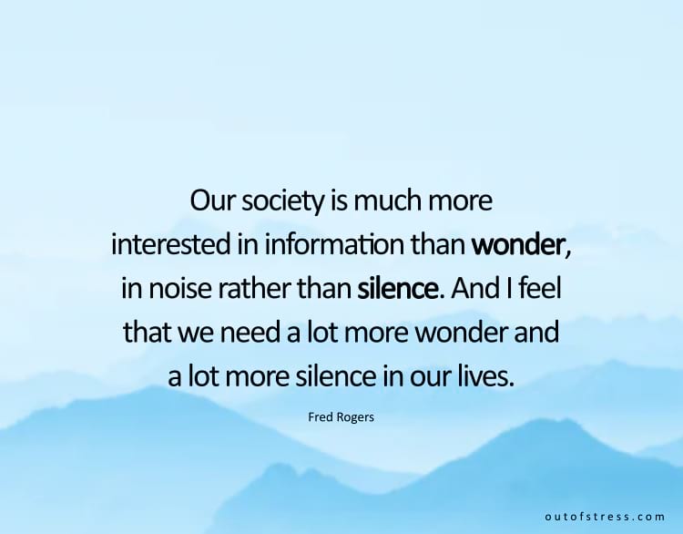 Our society is much more interested in information than wonder, in noise rather than silence. And I feel that we need a lot more wonder and a lot more silence in our lives.