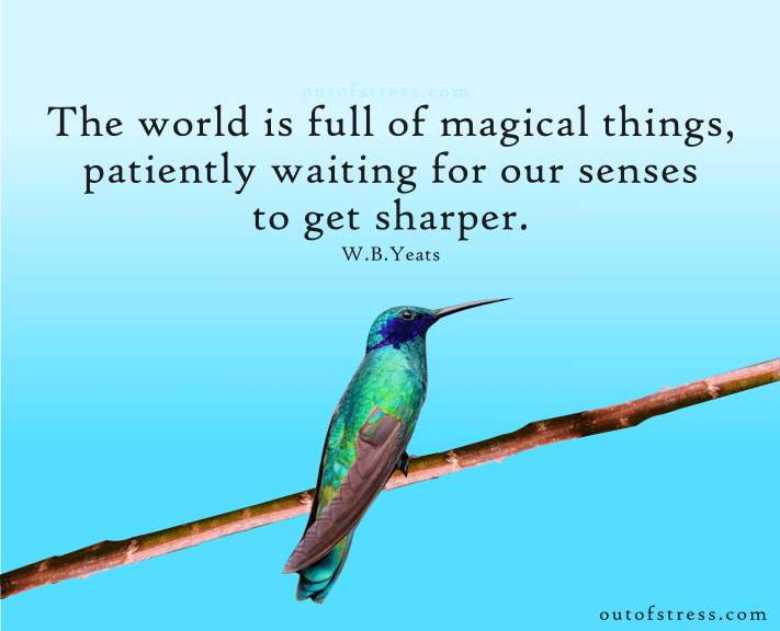 The world is full of magical things, patiently waiting for our senses to grow sharper.