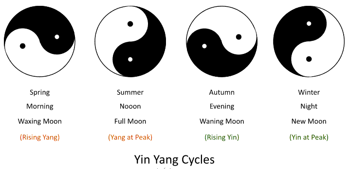 Yin Yang - Universal cycles of existence
